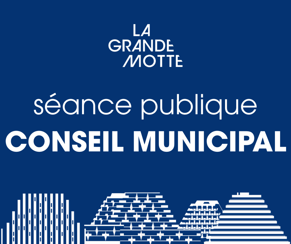 Conseil Municipal Image